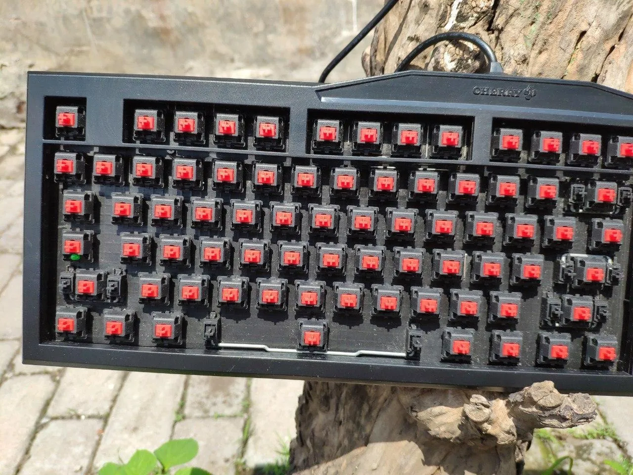menjemur mechanical keyboard
