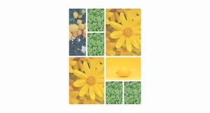 Image Gallery with Grid - Tailwind Component