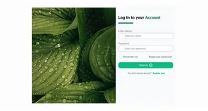 Sign In Form - Tailwind Component